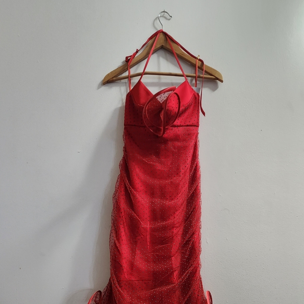 Suzanne Ermann long formal dress